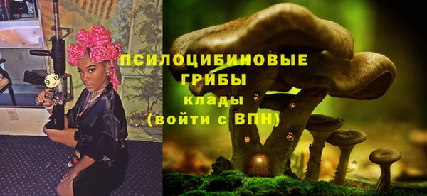 бутират Верея