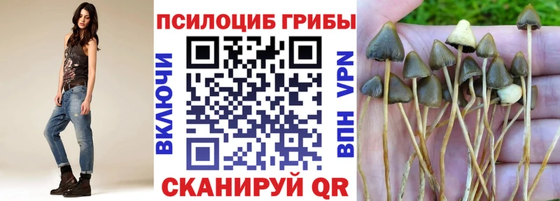 это телеграм  Гаврилов-Ям  Галлюциногенные грибы GOLDEN TEACHER  где купить наркоту  ОМГ ОМГ онион 